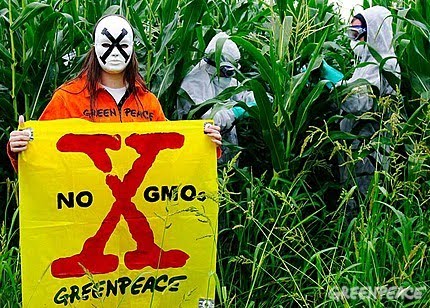 GLI OGM: SALVATORI O BECCHINI DEL GENERE UMANO?