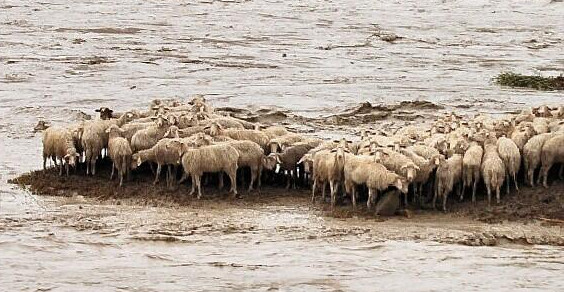 L'ALLUVIONE SARDA E I FANTOCCI IMPICCATI