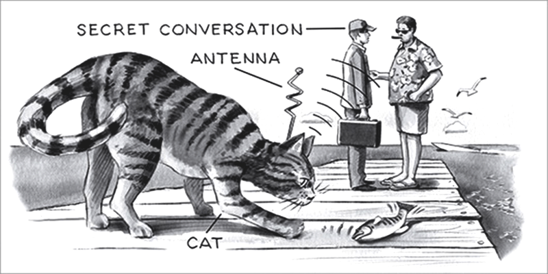 ACOUSTIC KITTY, IL CLAMOROSO FALLIMENTO DELLA CIA