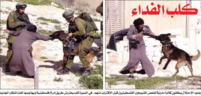 SOLDATI ISRAELIANI SGUINZAGLIANO UN CANE CONTRO UN' ANZIANA PALESTINESE