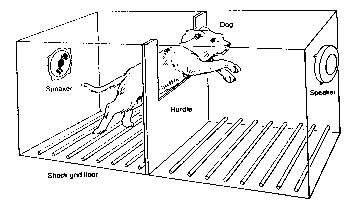 SHUTTLEBOX