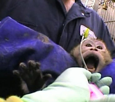 L’EGOISMO DELLA NOSTRA SPECIE