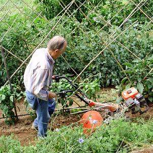 SVILUPPARE UN COOPERATIVISMO AGRO-ECOLOGICO