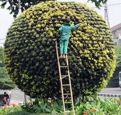 QUANDO TUTTI FAREMO I GIARDINIERI NELLE CASE DEI TEDESCHI