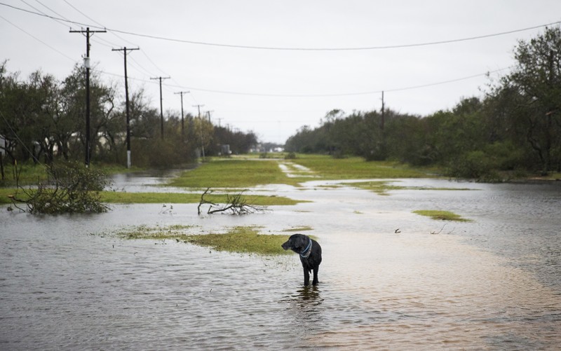 Harvey, Irma, Jose e gli altri