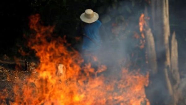 Amazzonia in fiamme: il business di Carrefour, Nestlé e soci