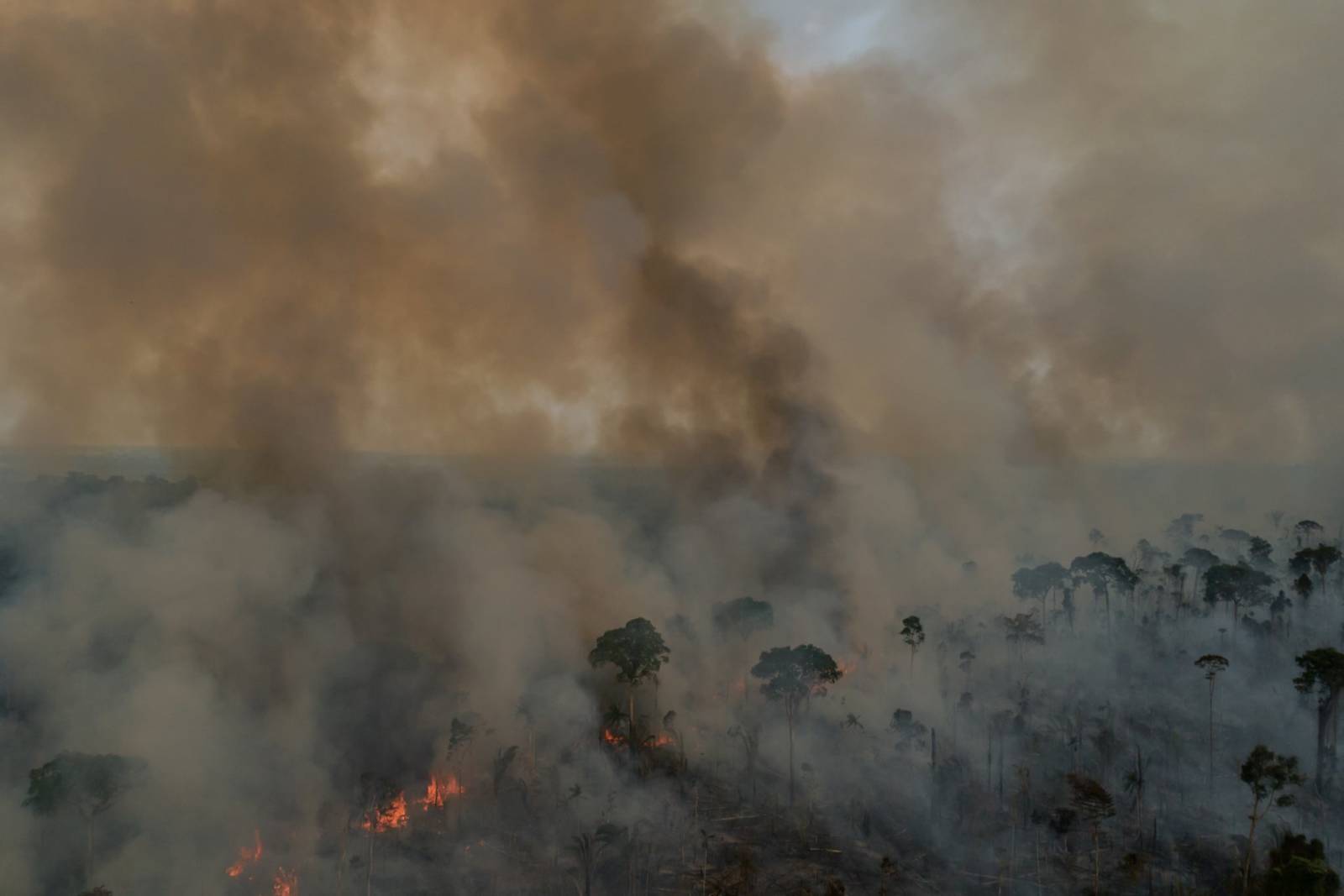 'Caos, caos, caos': un viaggio nell'inferno amazzonico di Bolsonaro