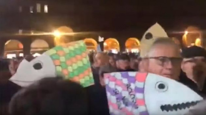 Ripartiamo dalle sardine