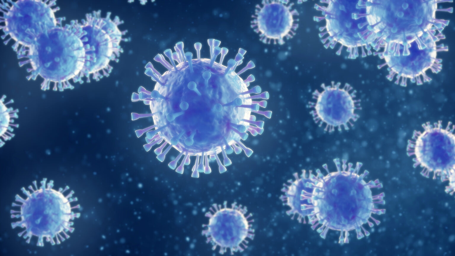 Coronavirus, un aggiornamento