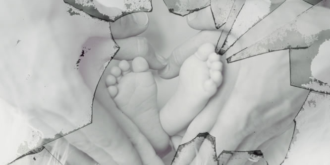 FAMIGLIA: INGEGNERIA SOCIALE O BOMBARDAMENTO?