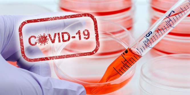 Test, tamponi e vaccino. Risposte alle 8 domande più ricorrenti