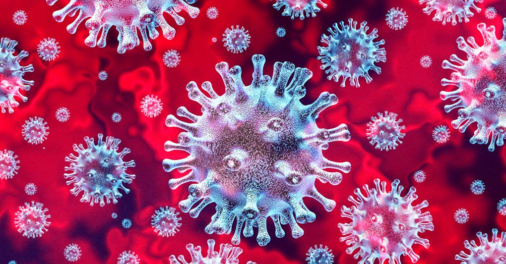 Il virus è in continua mutazione: mascherine, distanziamento e vaccini sono inutili. Il nuovo studio di ricercatori americani pubblicato dal Telegraph