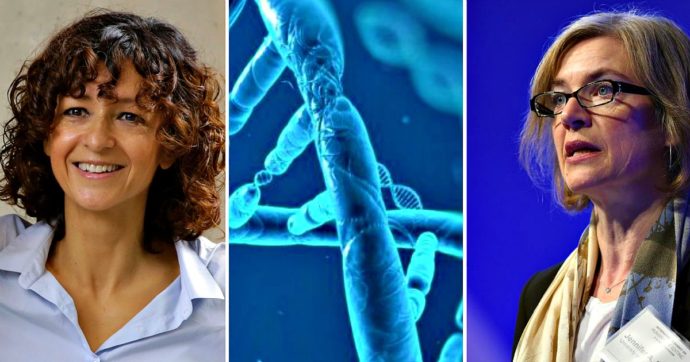 nobel all'ingegneria della vita