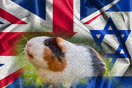 Guinea Pigs United