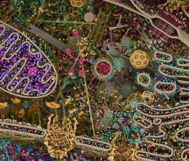 Quando l’eccellenza scientifica diventa un’eresia: intervista a Loretta Bolgan