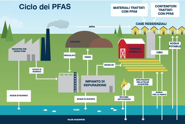 CICLO-DEI-PFAS