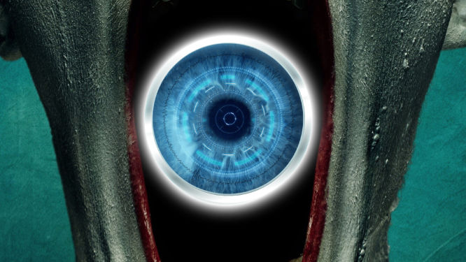 The Covid Horror Picture Show
