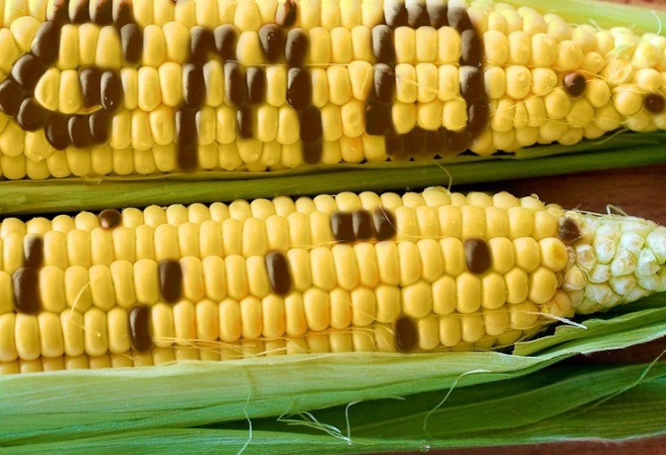 Farm to Fork: come l'UE e la Cabala di Davos hanno pianificato il controllo dell'agricoltura