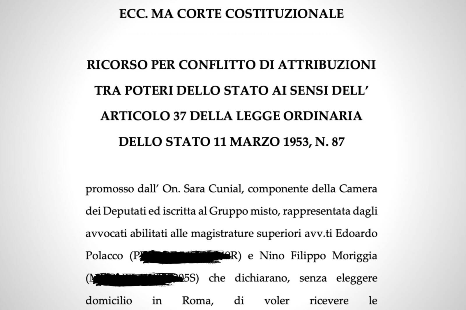 Cunial ricorso Corte Costituzionale