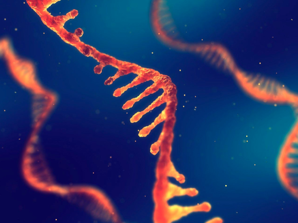 rna