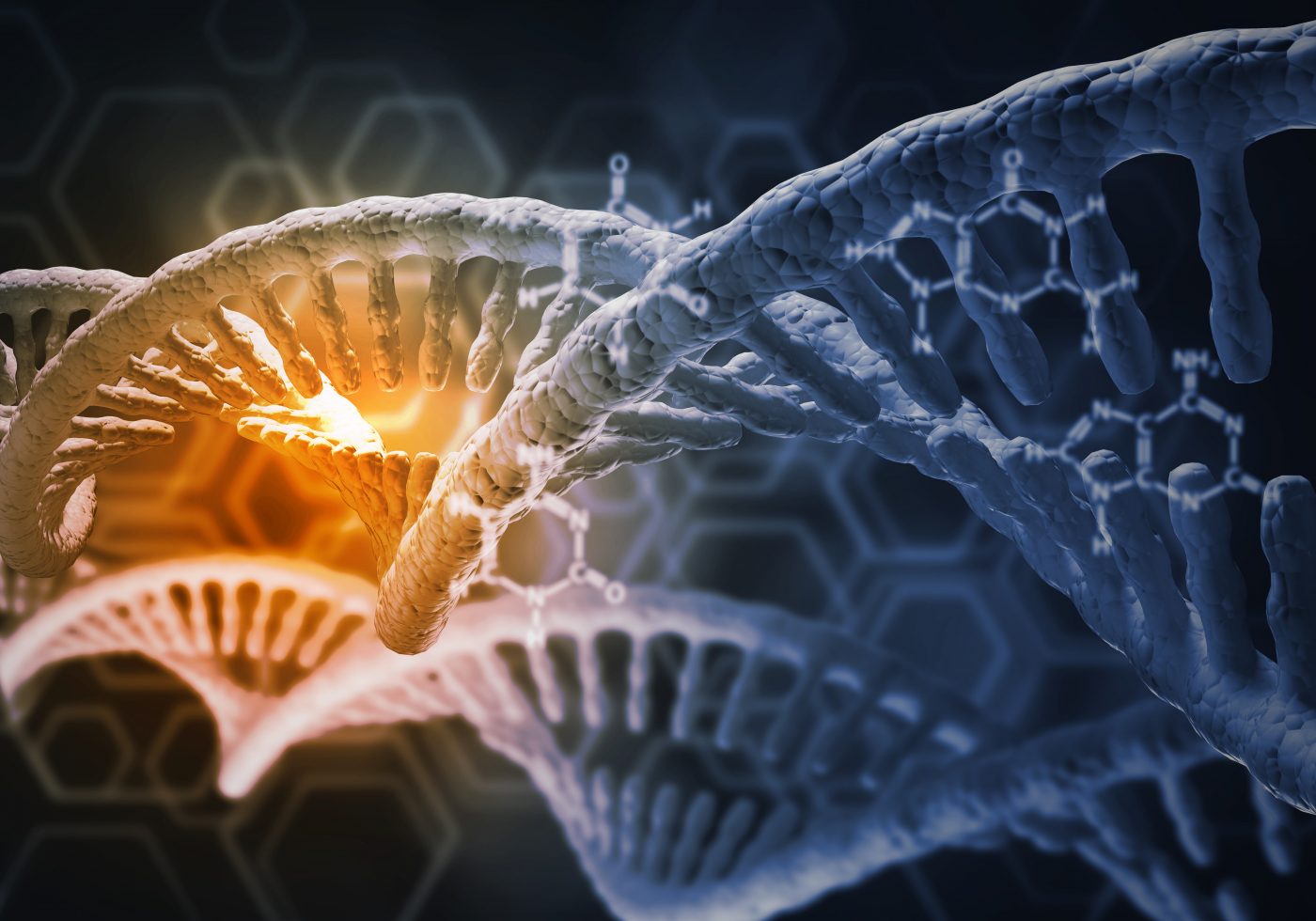 La proteina Spike del SARS-CoV-2 ostacola la riparazione dei danni al DNA