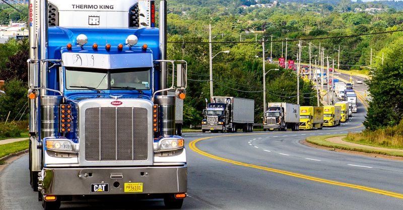 Il Freedom Convoy in marcia verso Ottawa