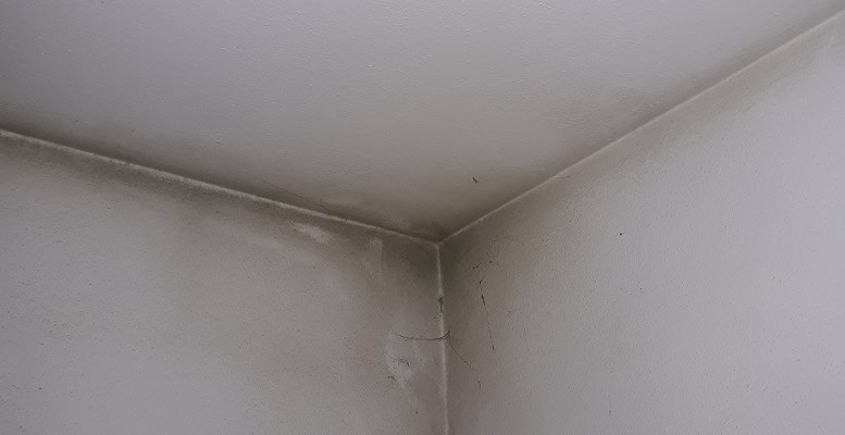 muffa e problemi di salute