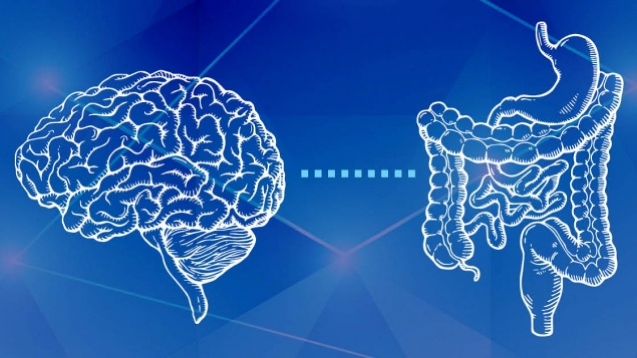 muco intestinale e disturbi neurologici