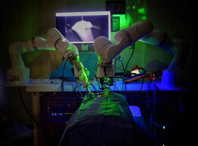 robot STAR operazione maiali