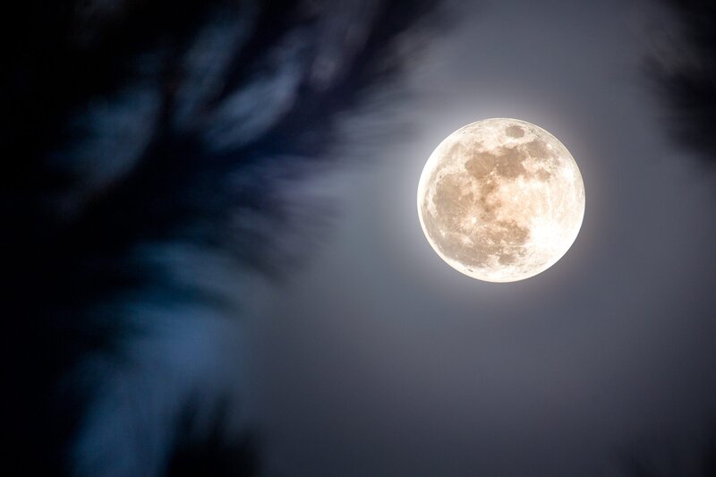 Miscela per un buon sonno