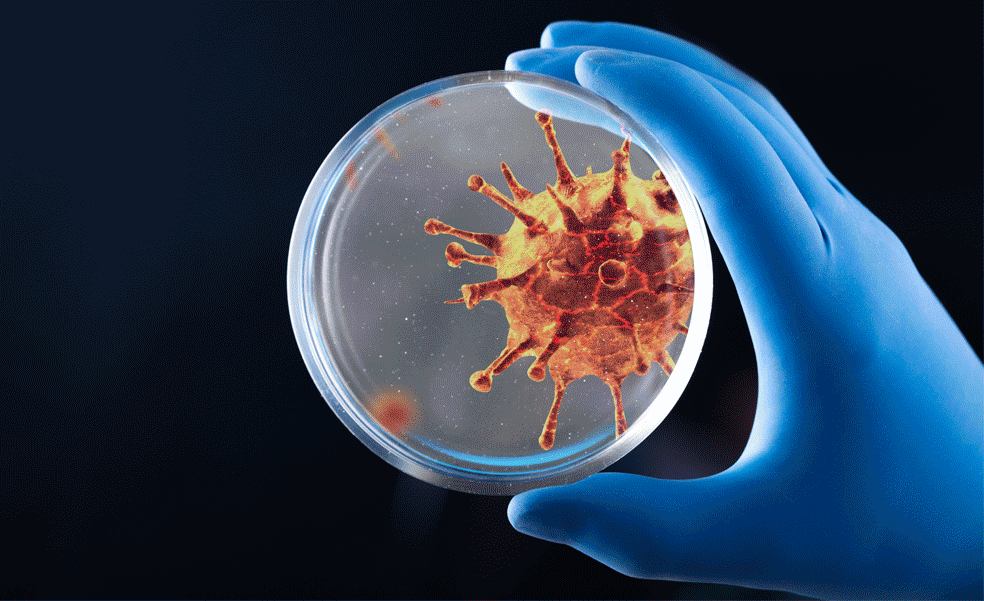 COVID-19: un'arma biologica che prende di mira l'etnia e i sistemi corporei