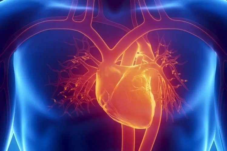 I vaccini che fanno male al cuore