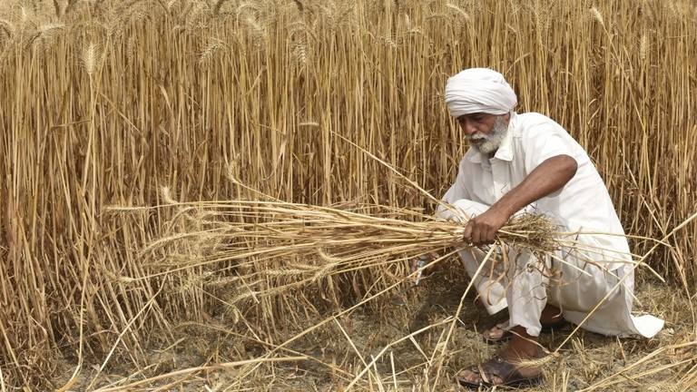 India grano export