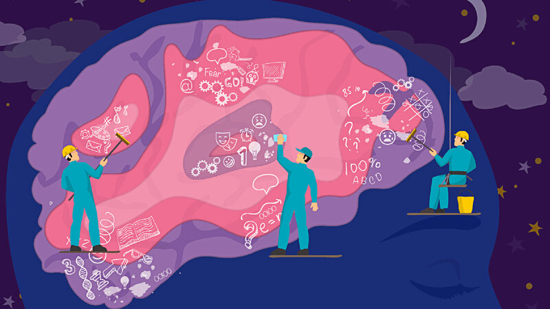 Sonno profondo fondamentale: serve a rimuovere ‘rifiuti’ dal cervello