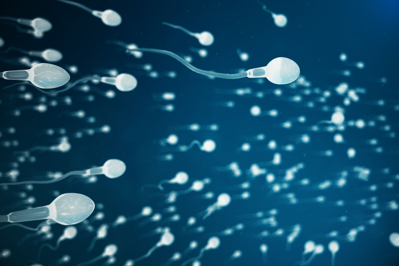 Scende il peso, aumentano gli spermatozoi