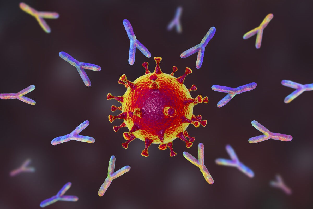 I vaccini aiutano la diffusione della variante Omicron