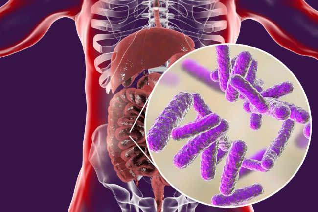 Quello che si sa oggi su nutrizione e microbiota
