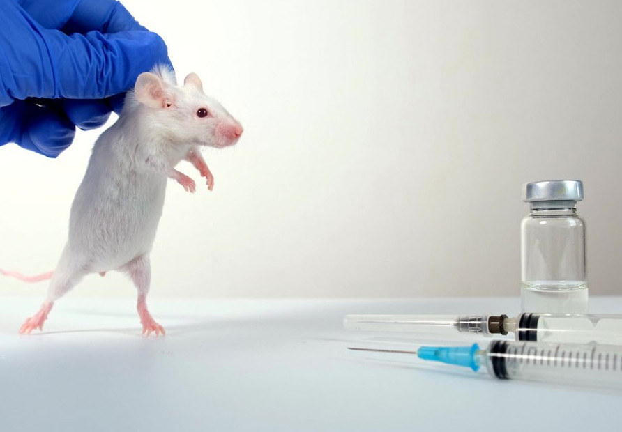 I nuovi vaccini COVID sono stati testati solo sui topi