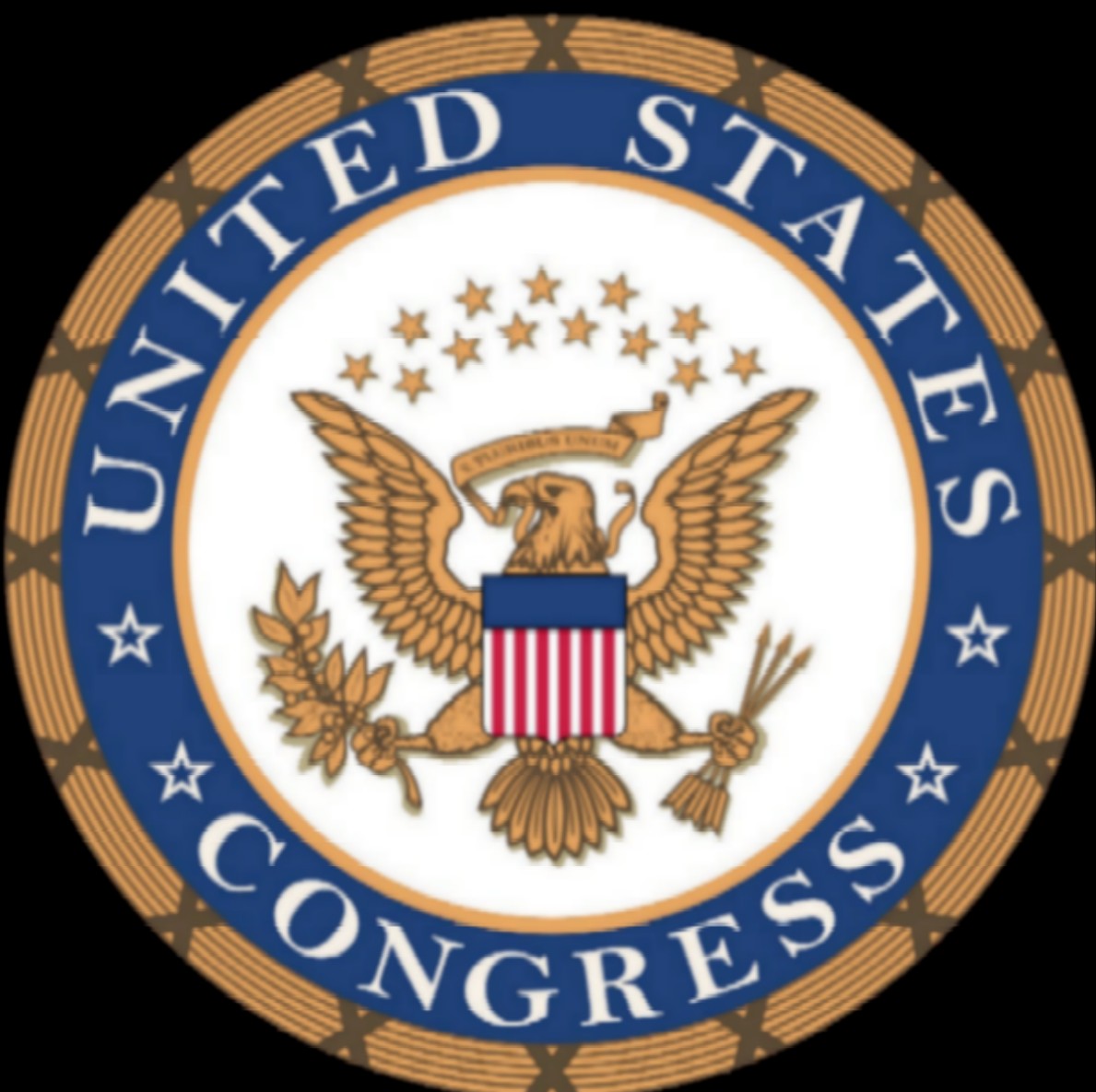 usa_congress