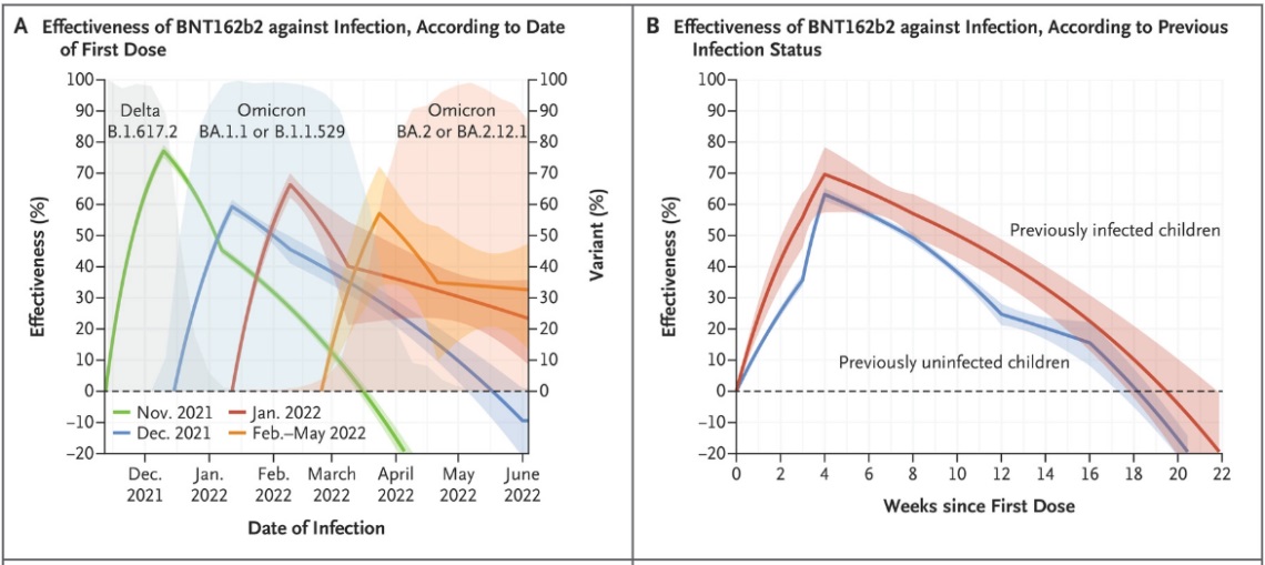 Efficacia del vaccino Pfizer contro l'infezione, in funzione della data dalla prima dose (fig.A) e di precedenti infezioni (fig. B).