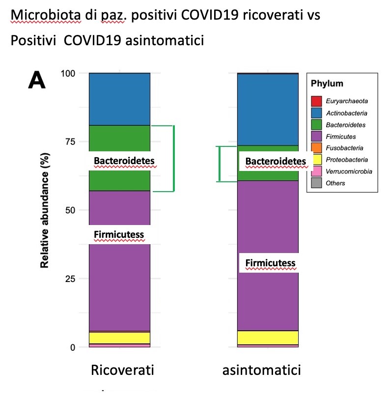 microbiota