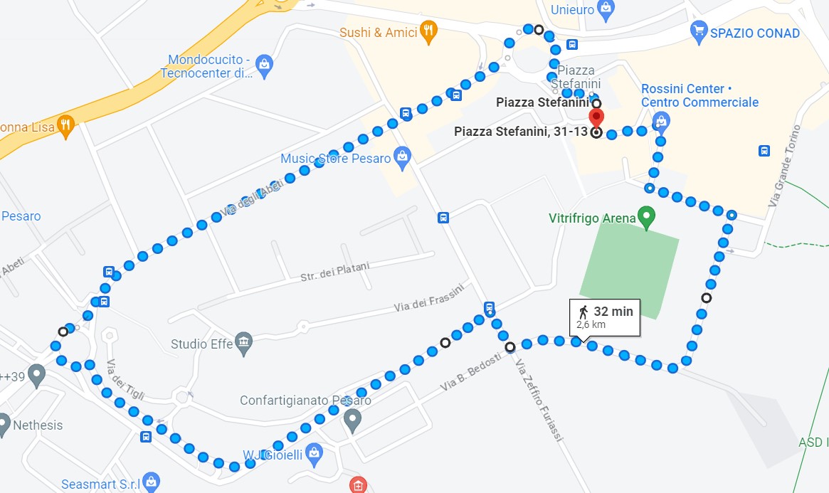 corteo pesaro