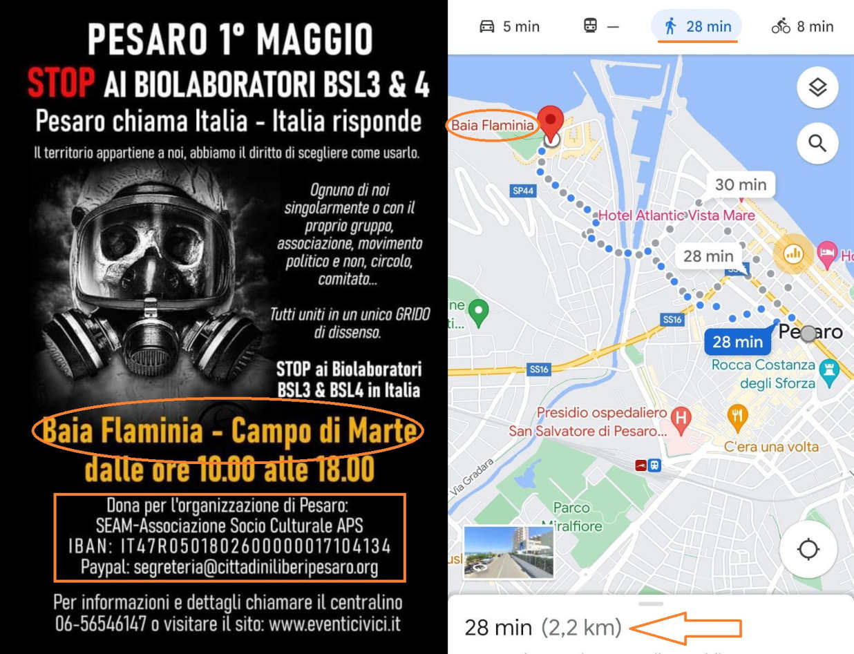 baia flaminia
