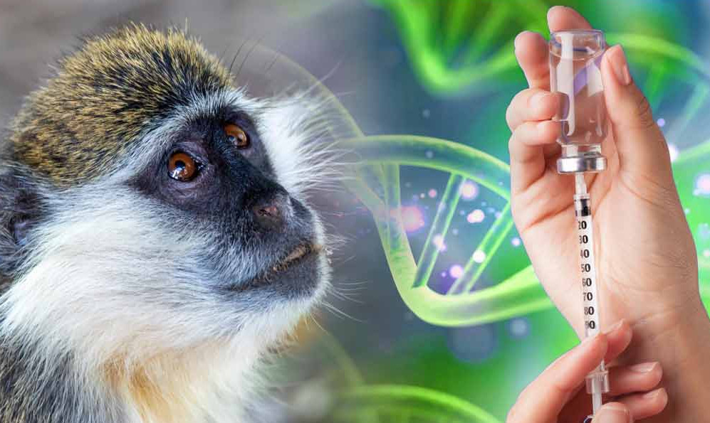 I vaccini Covid di Pfizer e Moderna sono contaminati da DNA potenzialmente cancerogeno
