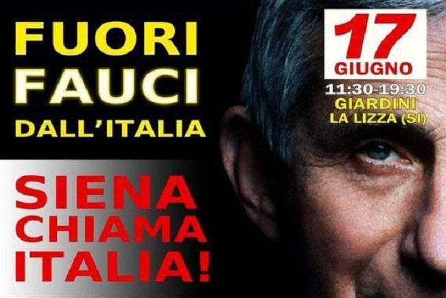 Fauci Siena