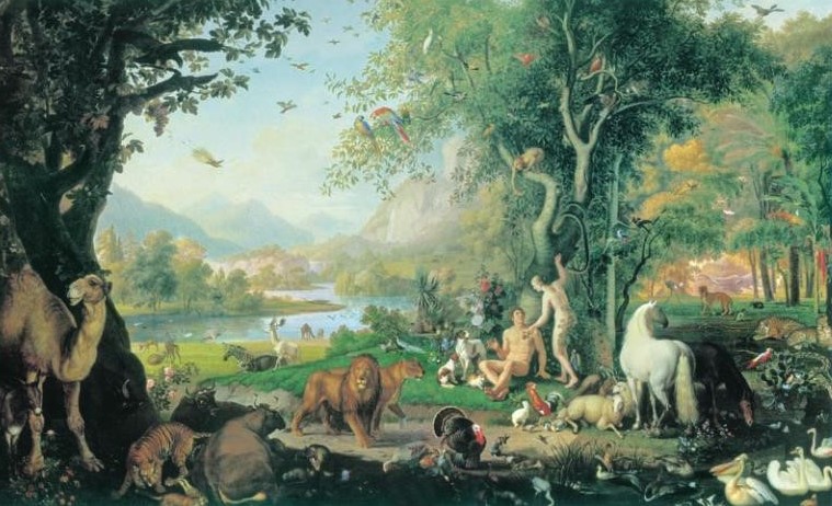 FRA AFRICA E EUROPA: LA FORESTA CRESCE MENTRE IL GIARDINO MUORE