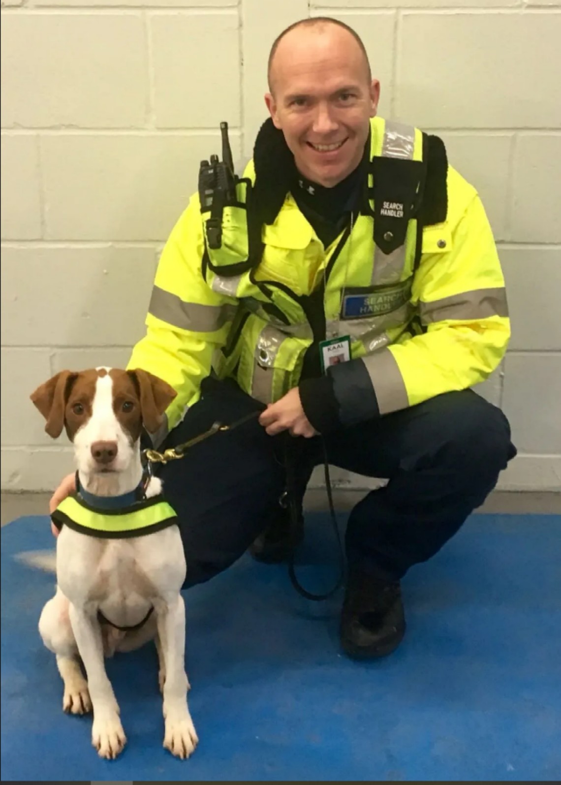 anti_bomb_dog