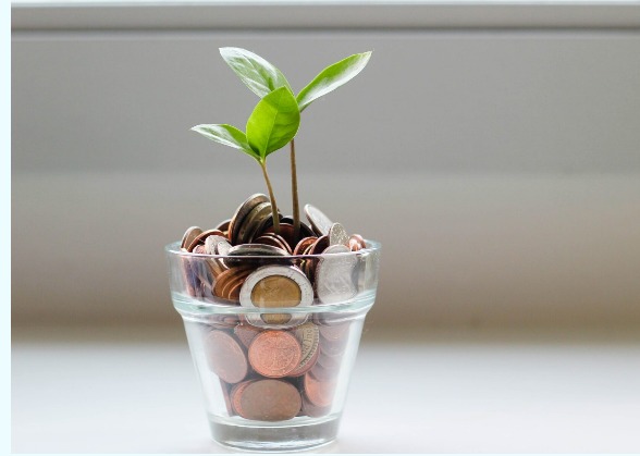 La Transizione Ecologica può essere finanziata con l’emissione di moneta “senza debito”?