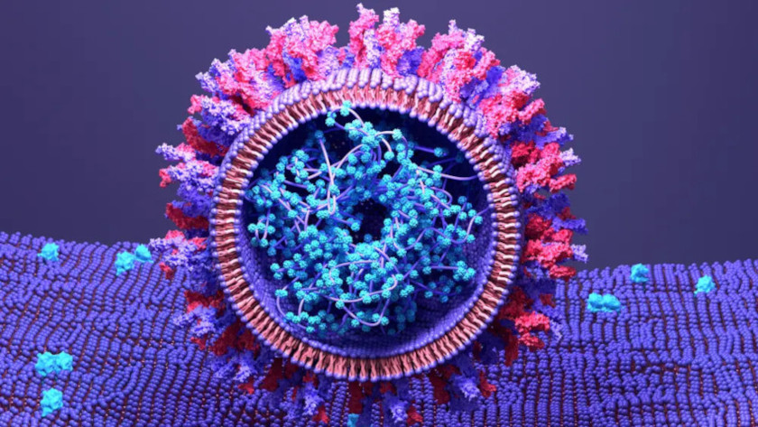 Il Giappone approva il primo vaccino COVID-19 a mRNA "auto-amplificante" senza pubblicare dati di efficacia o sicurezza
