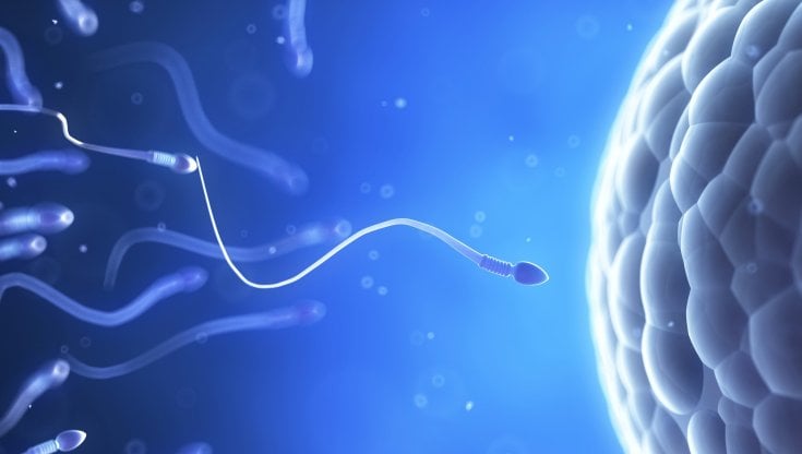 I ricchi saranno gli unici in grado di riprodursi in futuro?